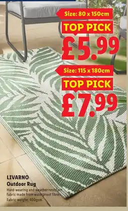 Lidl LIVARNO Outdoor Rug offer