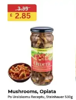 MyMINIMIX Mushrooms, Opiata Po Uralskomu Receptu, Steinhauer 530g offer