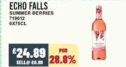 Bestway ECHO FALLS Summer berries offer