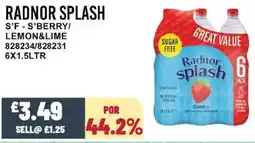 Bestway RADNOR SPLASH S'f - s'berry/ lemon&lime offer
