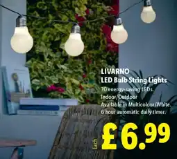Lidl LIVARNO LED Bulb String Lights offer