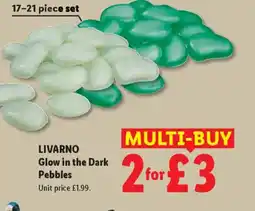 Lidl LIVARNO Glow in the Dark Pebbles offer