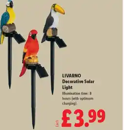 Lidl LIVARNO Decorative Solar Light offer