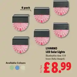 Lidl LIVARNO LED Solar Lights offer