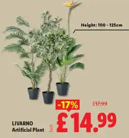 Lidl LIVARNO Artificial Plant offer