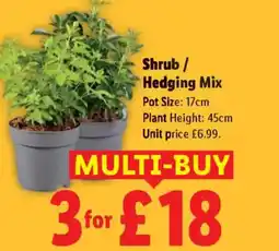 Lidl Shrub/ Hedging Mix offer