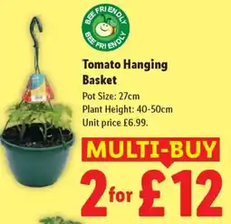 Lidl Tomato Hanging Basket offer