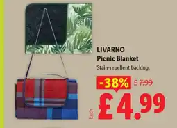 Lidl LIVARNO Picnic Blanket offer