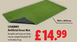 Lidl LIVARNO Artificial Grass Mat offer