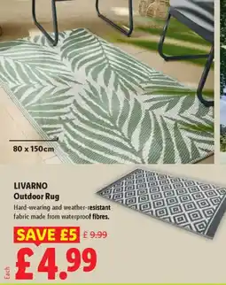 Lidl LIVARNO Outdoor Rug offer