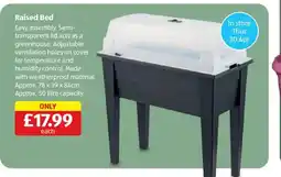 Aldi Raised Bed offer