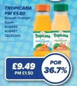 Bestway Tropicana offer
