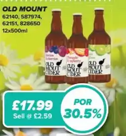 Bestway Old Mount offer