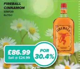 Bestway Fireball cinnamon offer