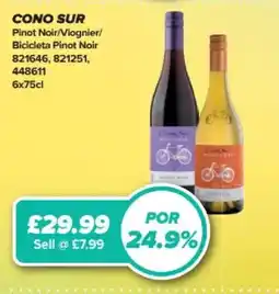 Bestway Cono Sur offer