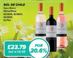 Bestway Sol De chile offer