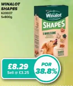 Bestway WINALOT SHAPES offer