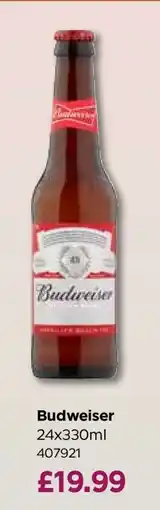 Bestway Budweiser offer