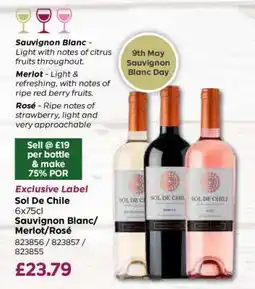 Bestway Sol De Chile 6x75cl Sauvignon Blanc/Merlot/Rosé offer