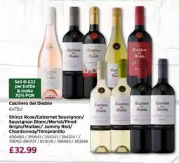 Bestway Casillero del Diablo offer