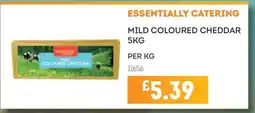 Bestway Essentially Catering Mild Coloured Cheddar offer
