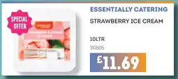 Bestway ESSENTIALLY CATERING STRAWBERRY ICE CREAM offer