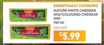 Essentially Catering Mature White Cheddar/Coloured Cheddar