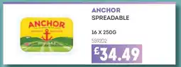 Bestway Anchor Spreadable offer
