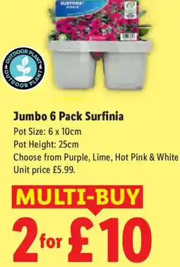 Lidl Jumbo 6 Pack Surfinia offer