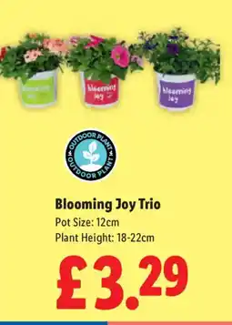 Lidl Blooming Joy Trio offer