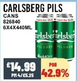 Bestway CARLSBERG PILS Cans offer