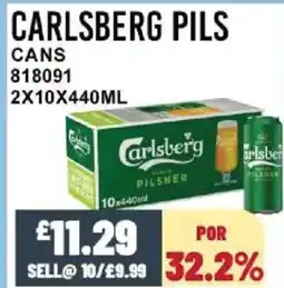 Bestway CARLSBERG PILS Cans offer