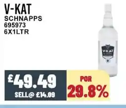 Bestway V-KAT Schnapps offer