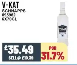 Bestway V-KAT Schnapps offer