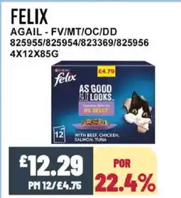 Bestway FELIX Agail - fv/mt/oc/dd offer