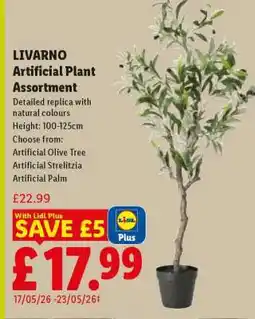 Lidl LIVARNO Artificial Plant Assortment offer