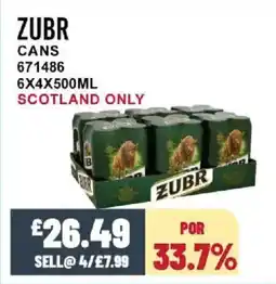 Bestway ZUBR Cans offer