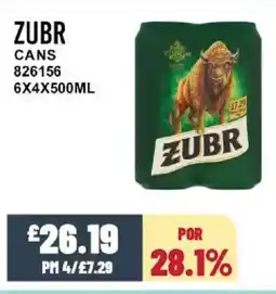 Bestway ZUBR Cans offer