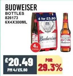 Bestway BUDWEISER Bottles offer