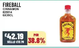 Bestway FIREBALL Cinnamon offer