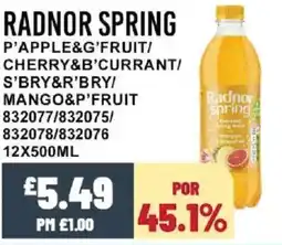 Bestway RADNOR SPRING P'apple&g'fruit/ cherry&b'currant/ s'bry&r'bry/ mango&p'fruit offer
