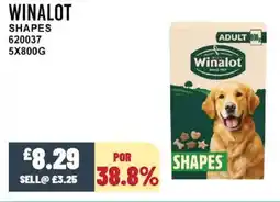 Bestway WINALOT Shapes offer