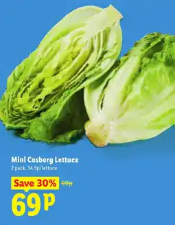 Lidl Mini Cosberg Lettuce offer