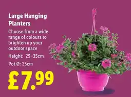 Lidl Large Hanging Planters offer