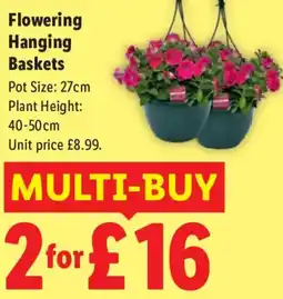 Lidl Flowering Hanging Baskets offer