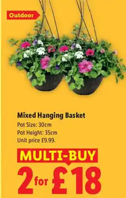 Lidl Mixed Hanging Basket offer