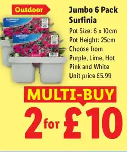 Lidl Jumbo 6 Pack Surfinia offer