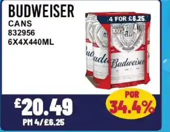 Bestway BUDWEISER Cans offer