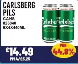 Bestway CARLSBERG PILS Cans offer