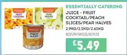 Bestway ESSENTIALLY CATERING Juice - fruit cocktail/peach slices/pear halves offer